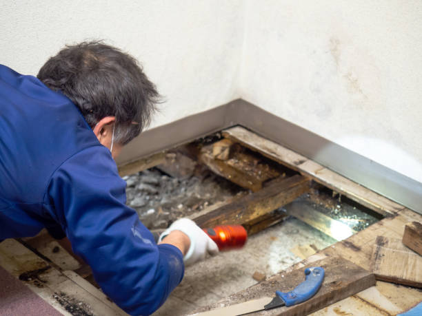 Best Mold Testing  in Topeka, KS
