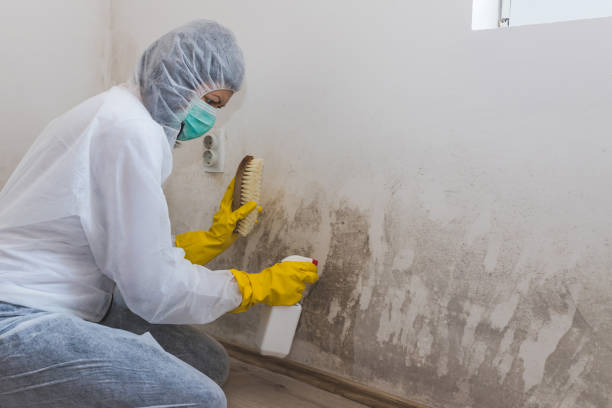 Best Crawl Space Mold Removal  in Topeka, KS