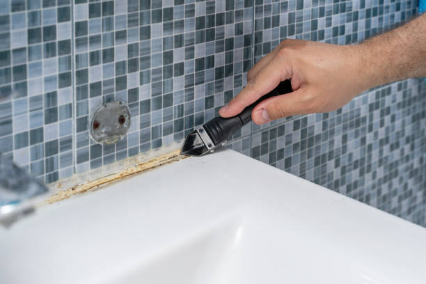 Best Same-Day Mold Removal  in Topeka, KS