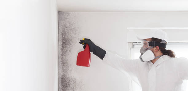 Professional Mold Removal in Topeka, KS