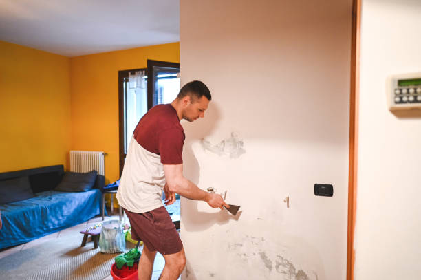 Best Certified Mold Removal  in Topeka, KS