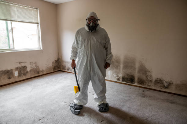 Professional Mold Removal in Topeka, KS